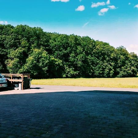 76 Qm Whg Im Eg Haus-Wohlfuehloase Vor Der Haustuer Daire Gladenbach Dış mekan fotoğraf