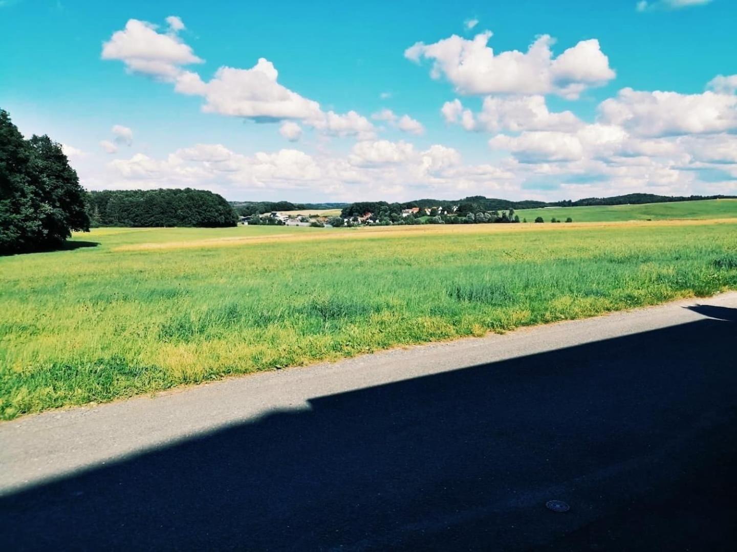 76 Qm Whg Im Eg Haus-Wohlfuehloase Vor Der Haustuer Daire Gladenbach Dış mekan fotoğraf